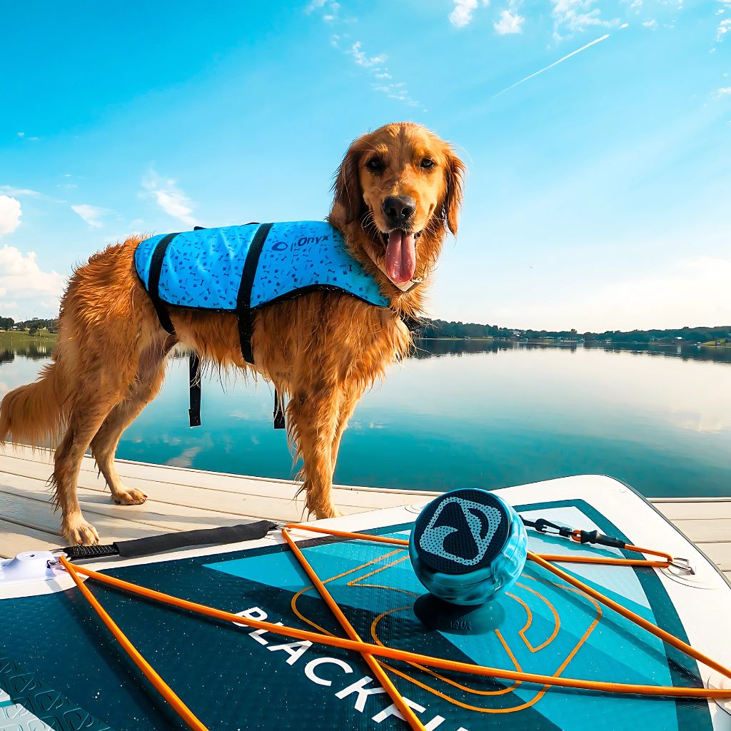 🏄‍♀️ The Paddling Enthusiast