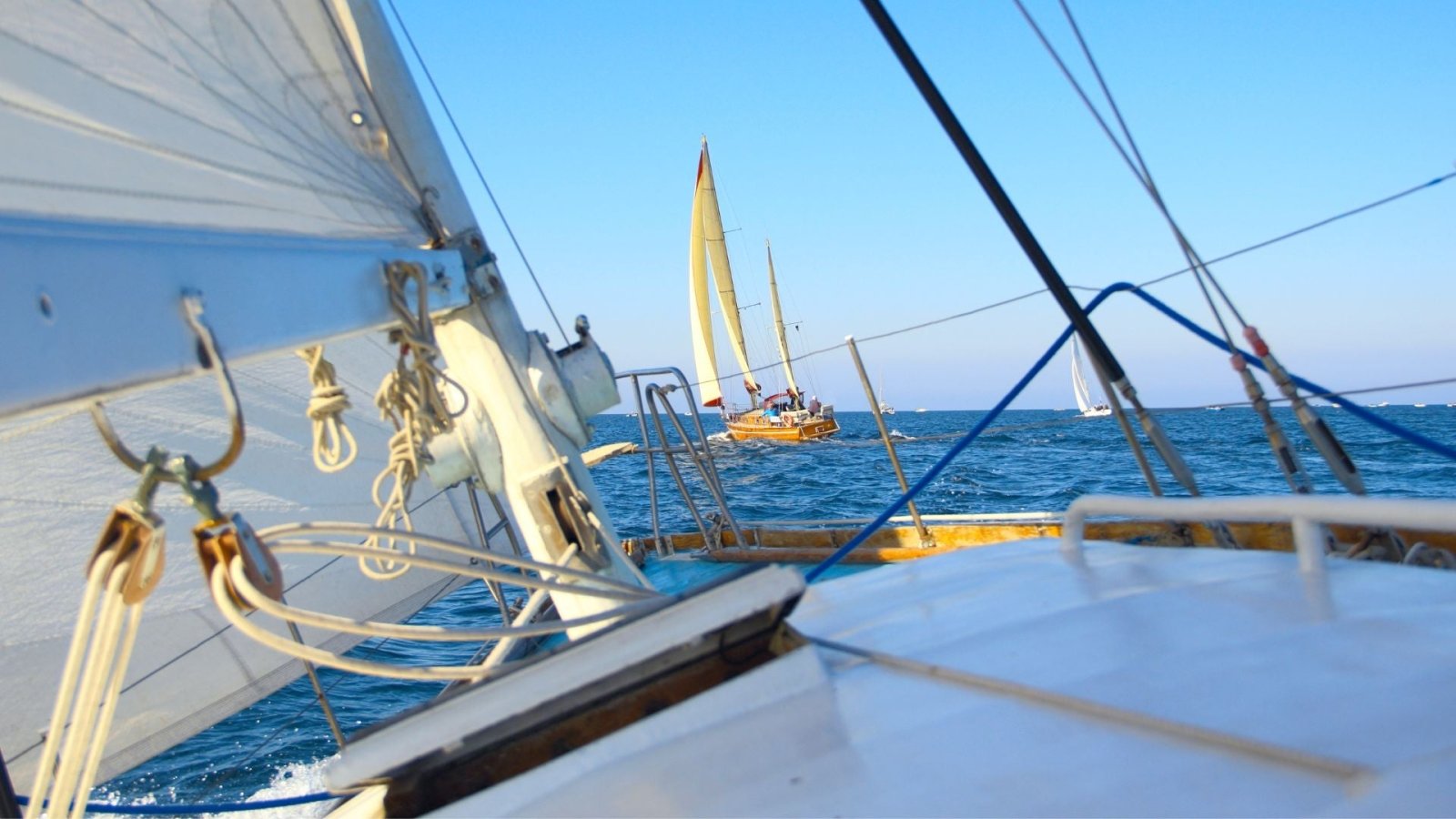 Sailboat Rigging | Essentials for Smooth Sailing - Fin & Anchor