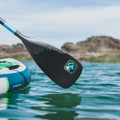 Premium 2-Piece Carbon Paddle & Bag