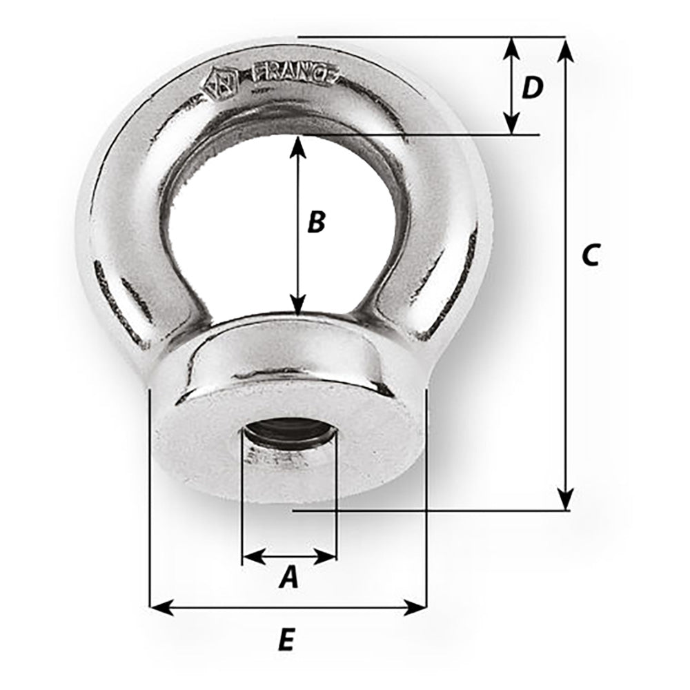 Wichard 1/4 Eye Nut - 1/2&quot; Diameter [06331]