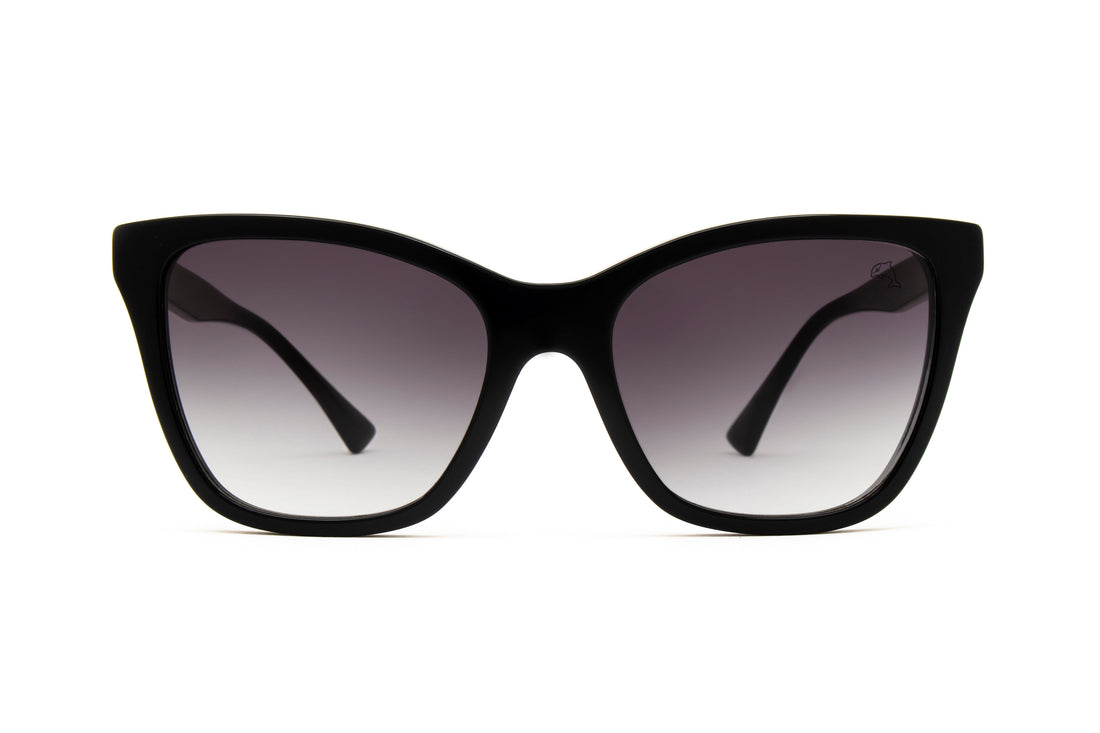 Allendale Black Sunglasses