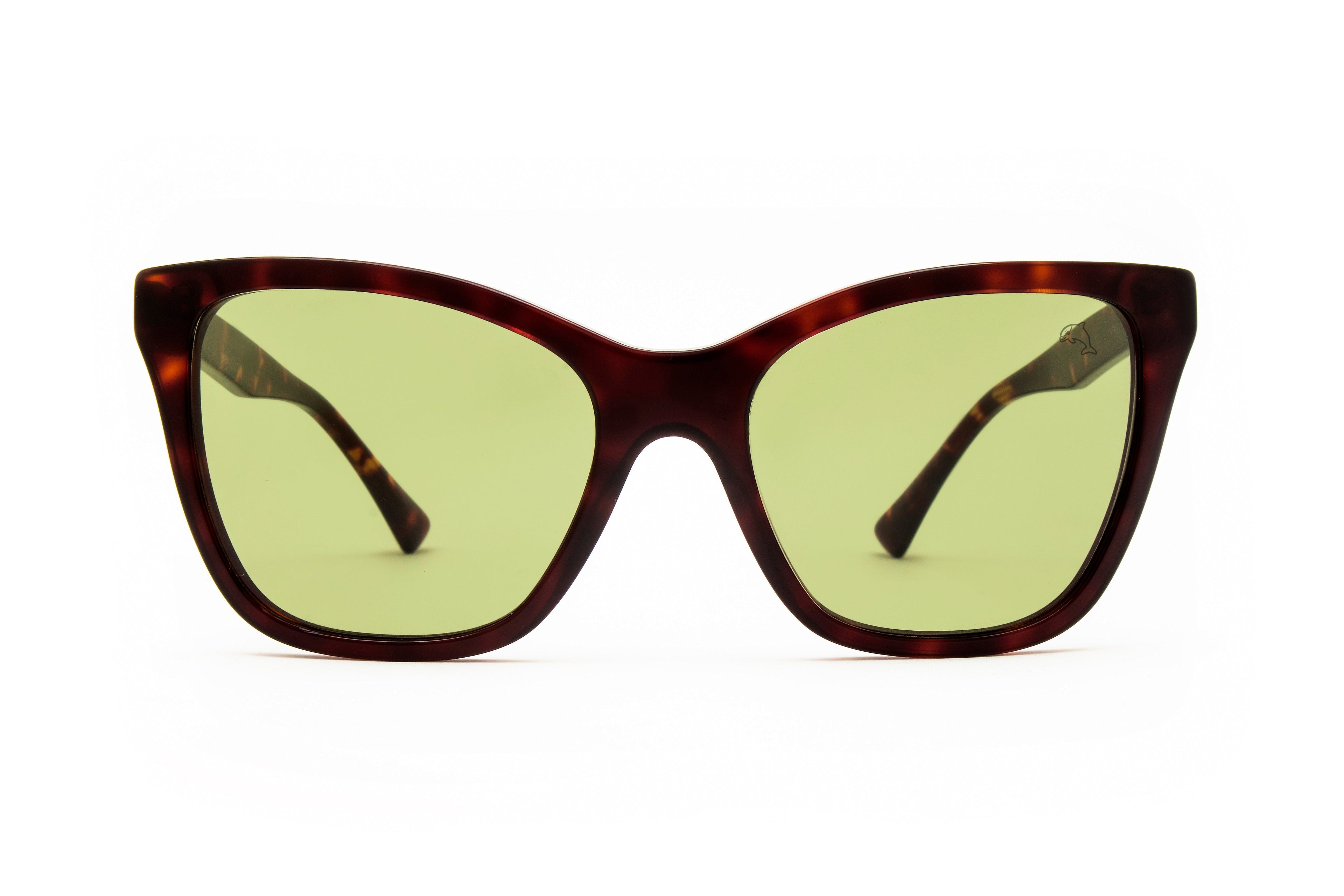 Allendale Tortoise Sunglasses