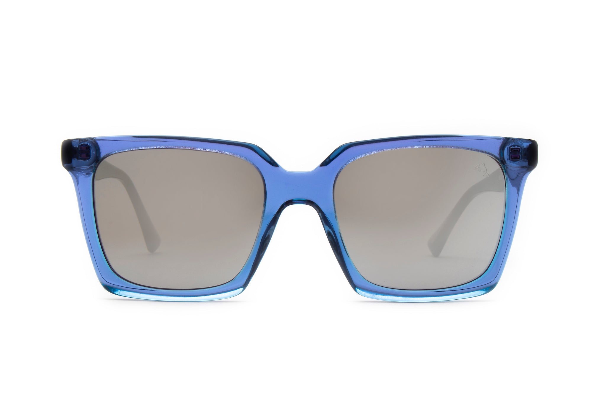 Biscayners Sunglasses |  Bill Bags Blue