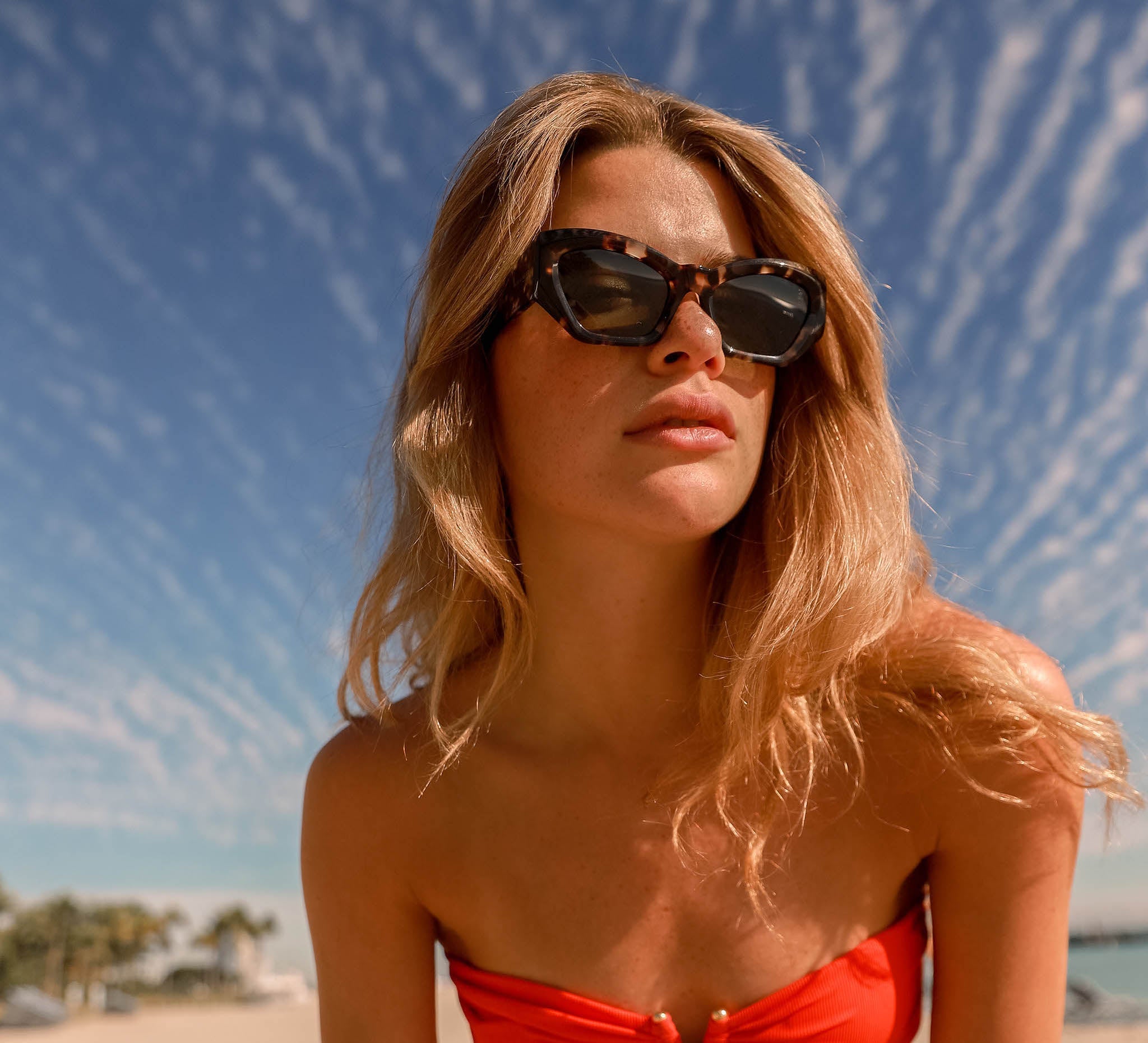 Biscayners Sunglasses |  Hampton Demi