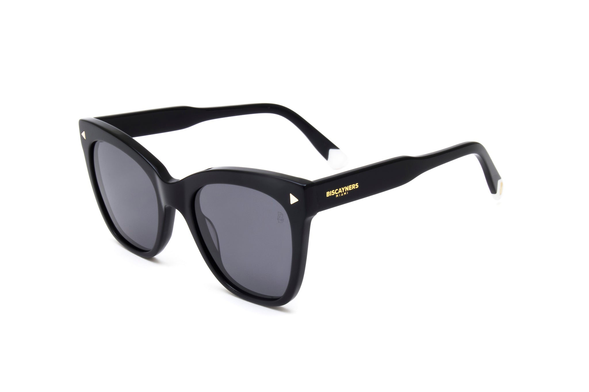 Biscayners Sunglasses |  Palm Black