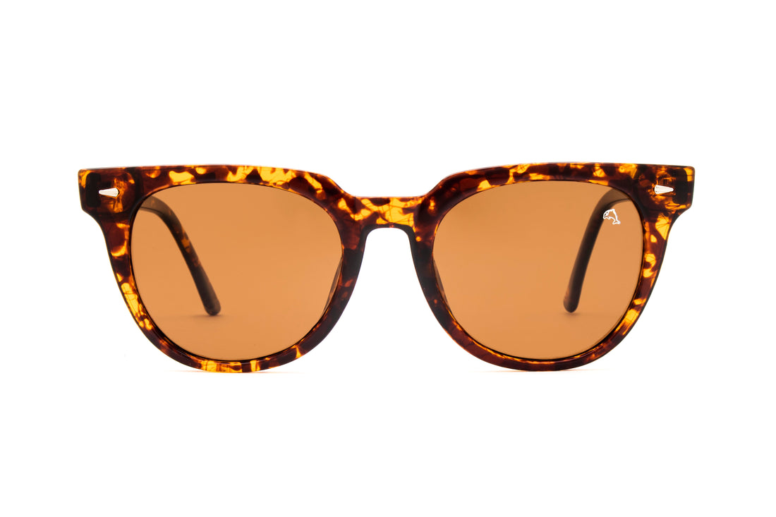 Sunset Tortoise Sunglasses