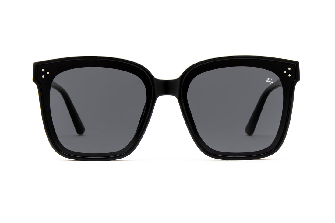 Warren Black Sunglasses