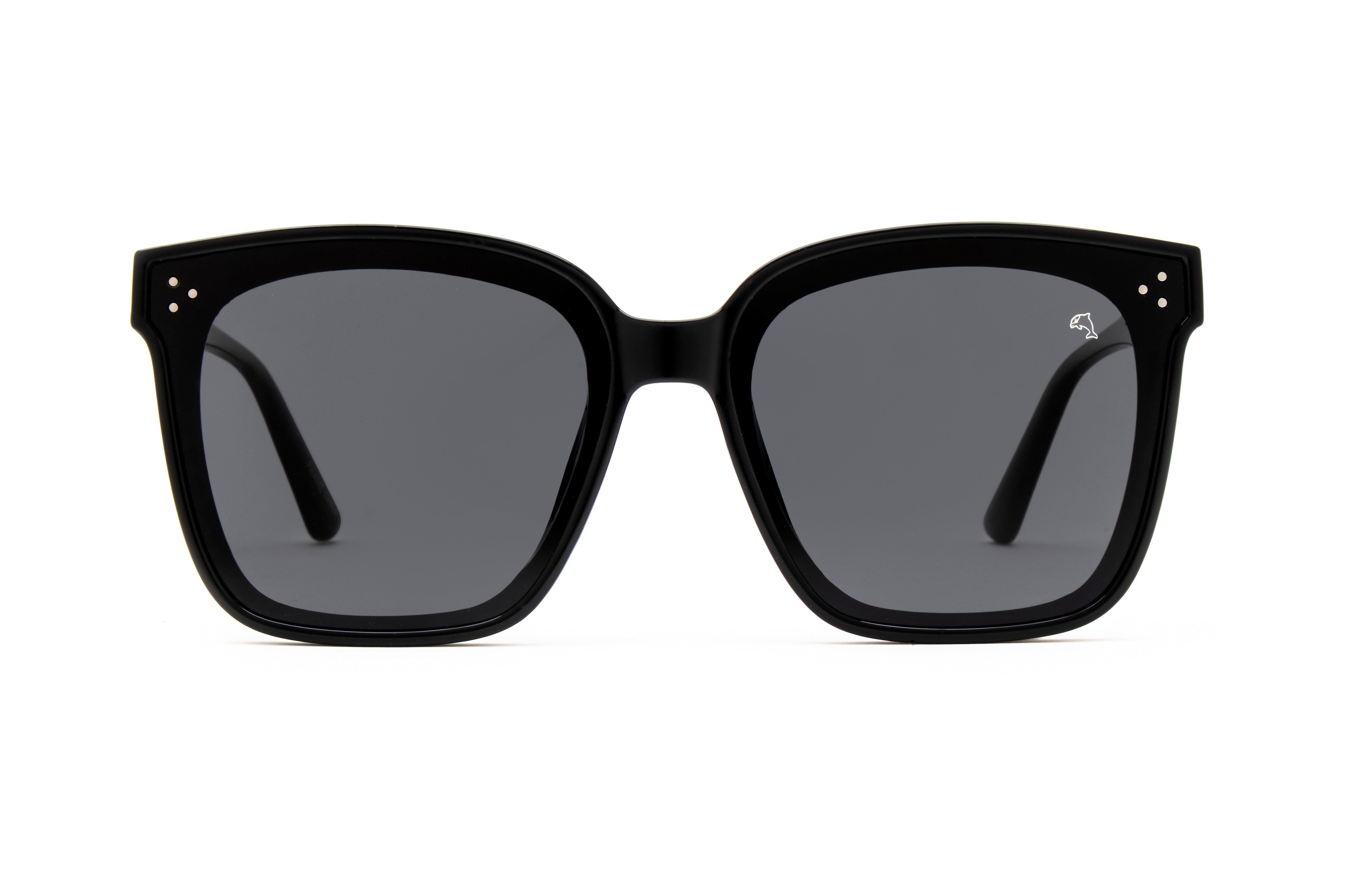 Biscayners Sunglasses |  Warren Black
