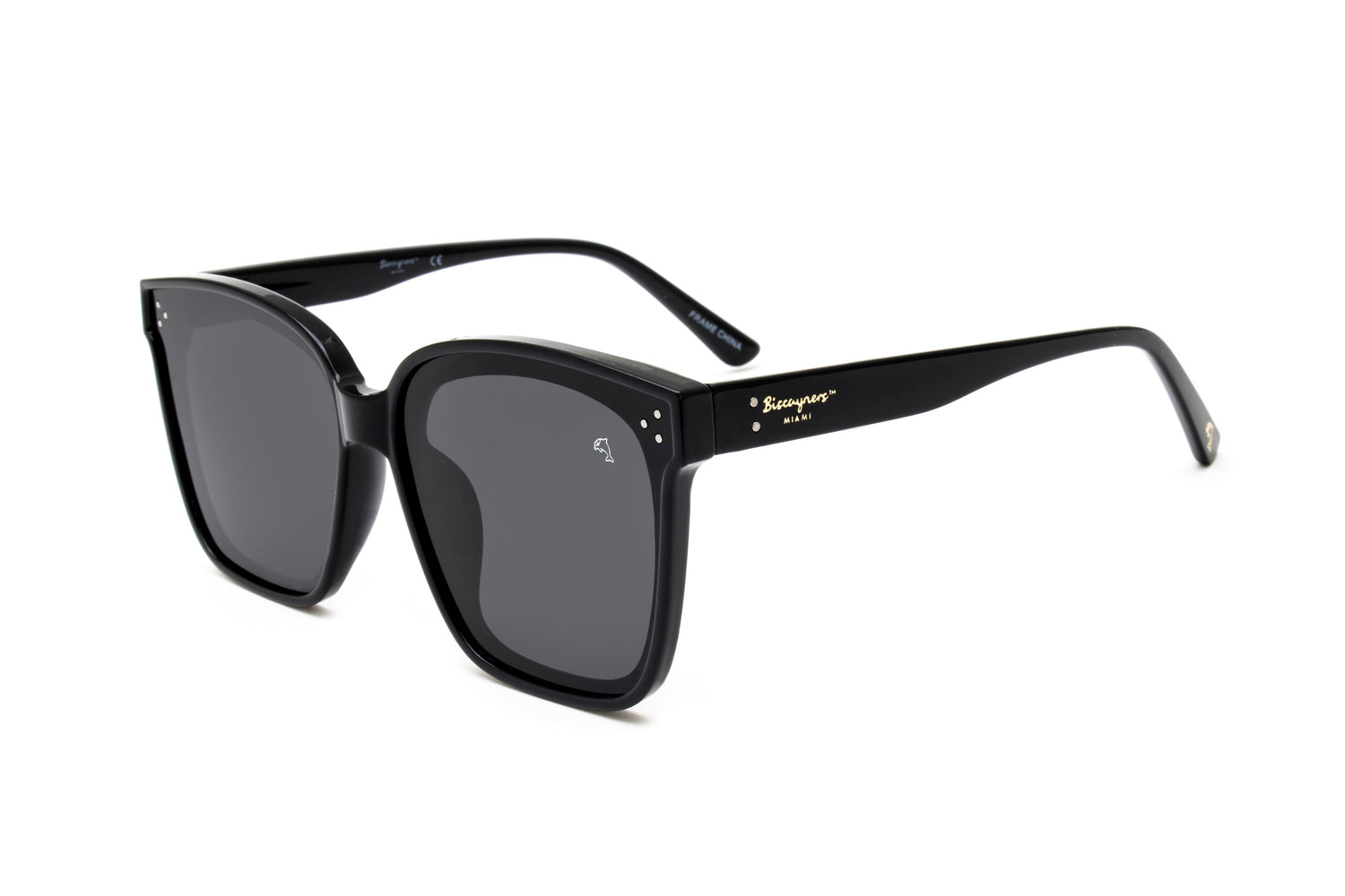 Warren Black Sunglasses