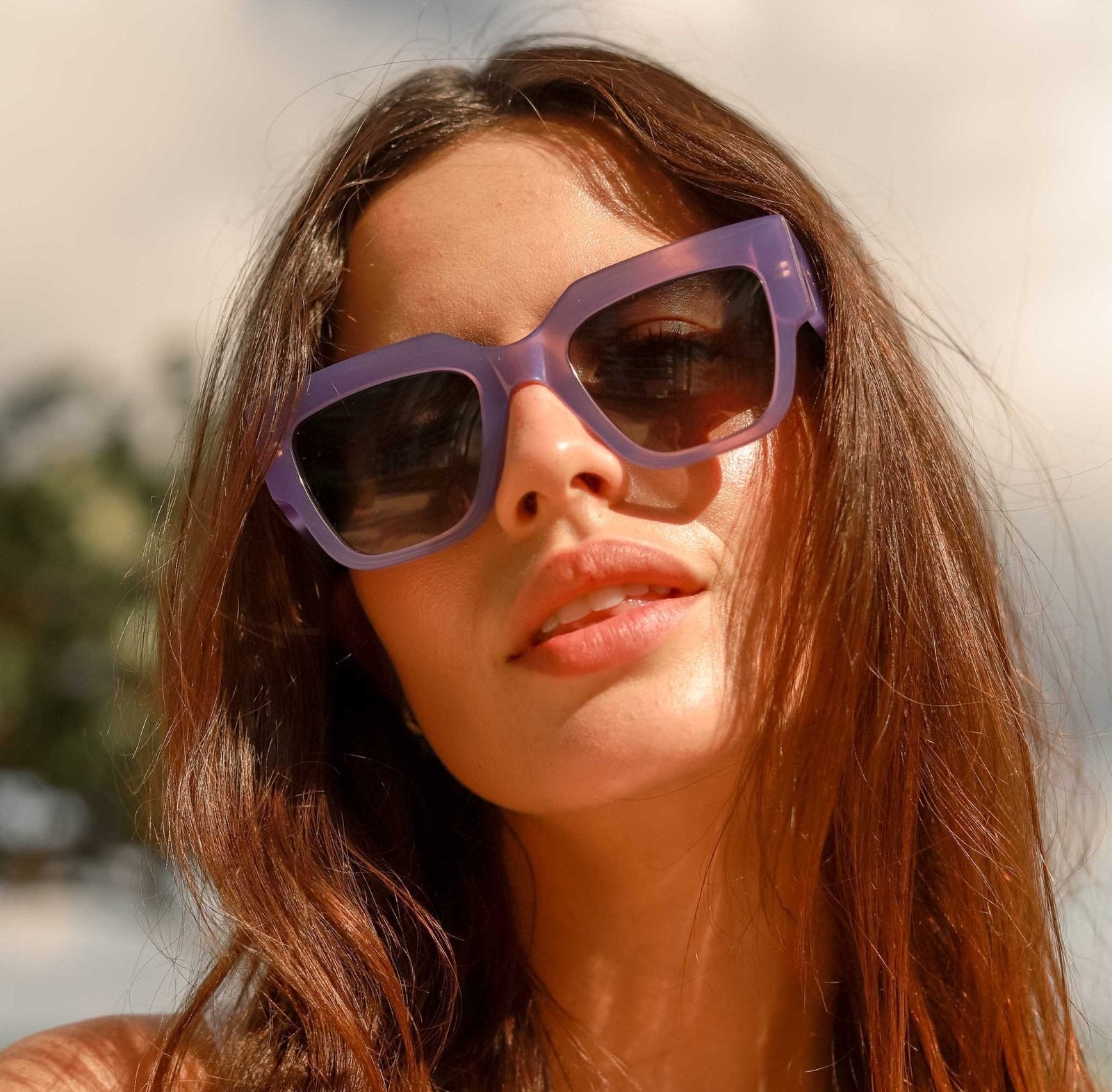 Glenridge Purple Sunglasses